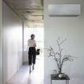 Daikin Emura 3 Silver
