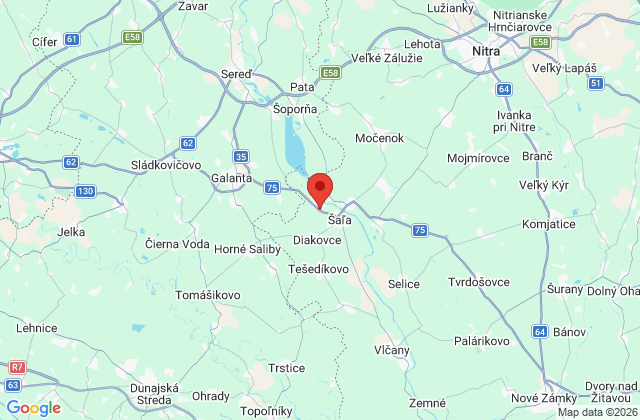 Google map: Kráľová nad Váhom 702